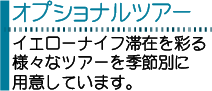 オプショナルツアー